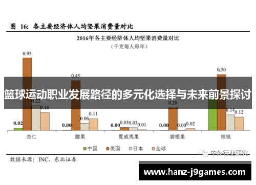 篮球运动职业发展路径的多元化选择与未来前景探讨 篮球运动职业发展路径的多元化选择与未来前景探讨